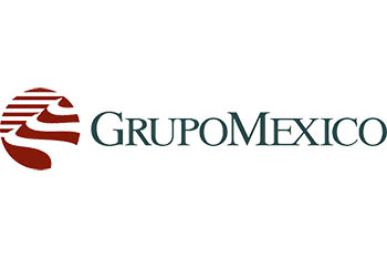 Bajan 8% ventas de Grupo México